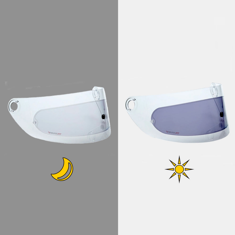 Daisy on the Ohoopee